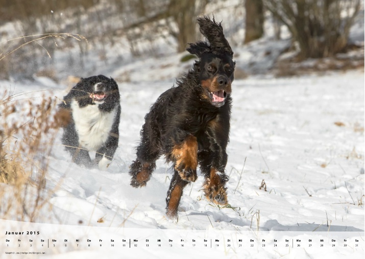 Moeffikalender 2015 Seite 02