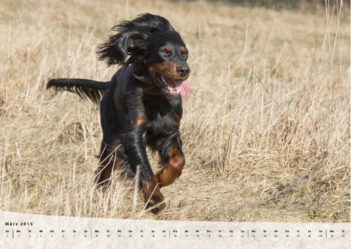 Moeffikalender 2015 Seite 04