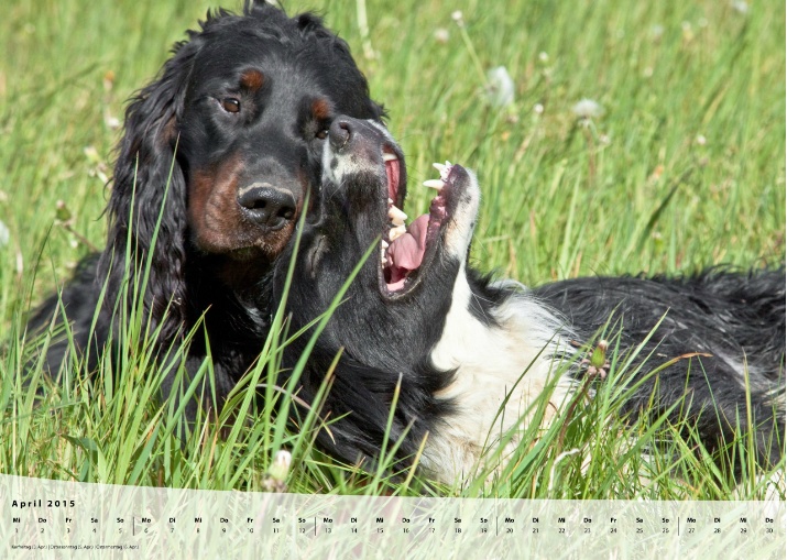 Moeffikalender 2015 Seite 05