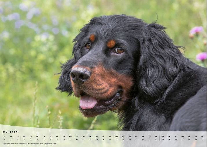 Moeffikalender 2015 Seite 06