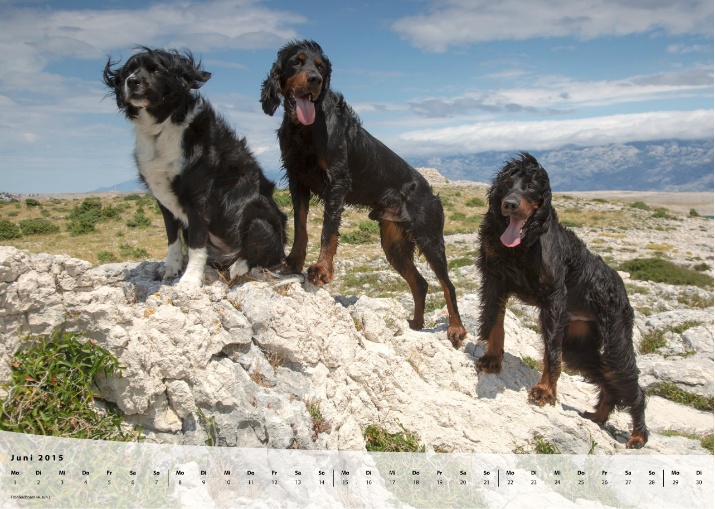 Moeffikalender 2015 Seite 07