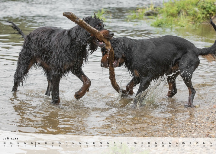 Moeffikalender 2015 Seite 08