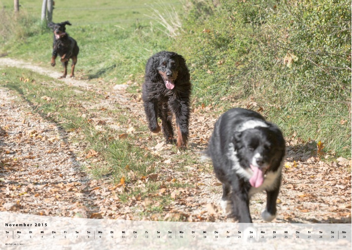 Moeffikalender 2015 Seite 12