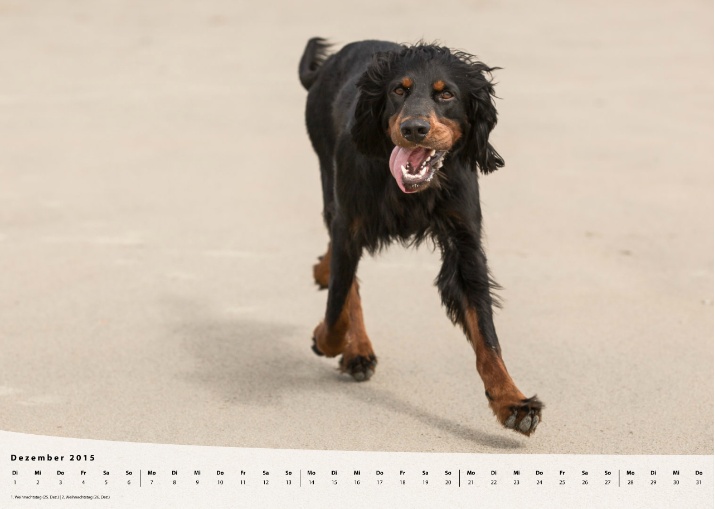 Moeffikalender 2015 Seite 13