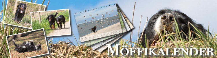 Banner Moeffikalender Custom