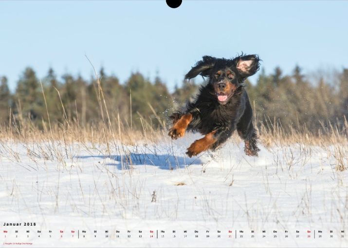 Moeffikalender 2018 Seite 02