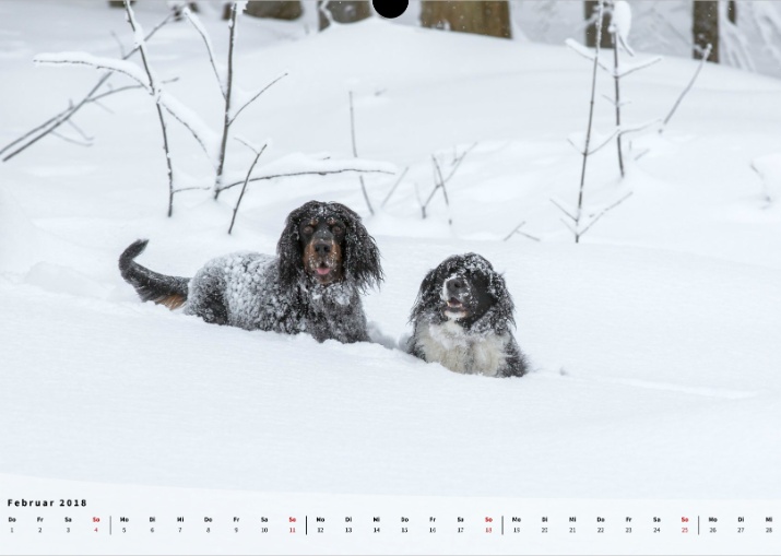 Moeffikalender 2018 Seite 03