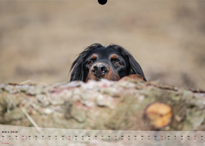 Moeffikalender 2018 Seite 04