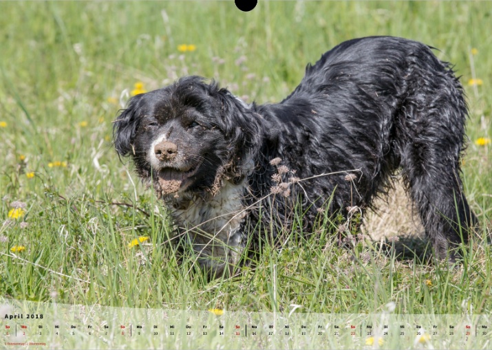 Moeffikalender 2018 Seite 05