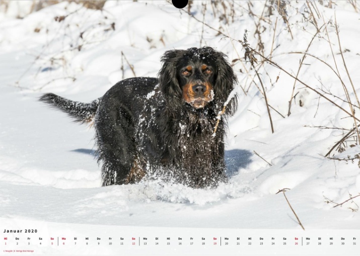 Moeffikalender 2020 Seite 02 Large