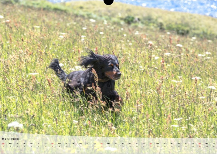 Moeffikalender 2020 Seite 04 Large
