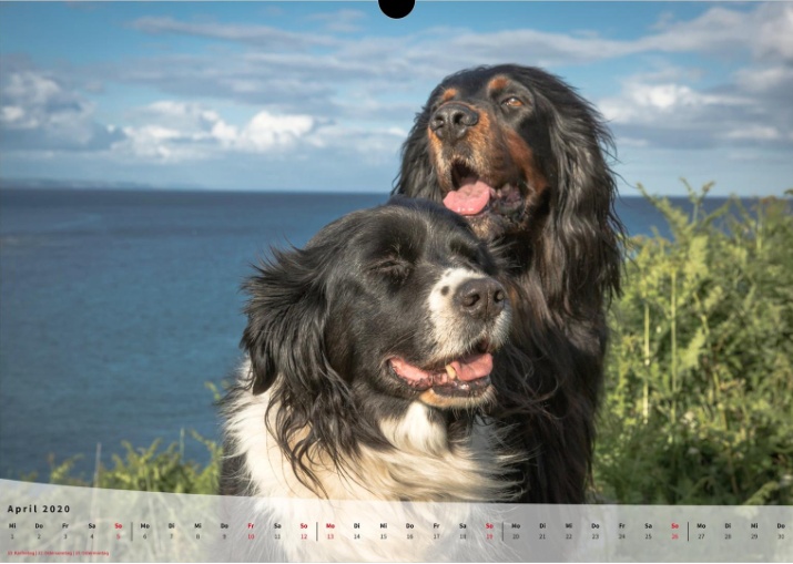 Moeffikalender 2020 Seite 05 Large