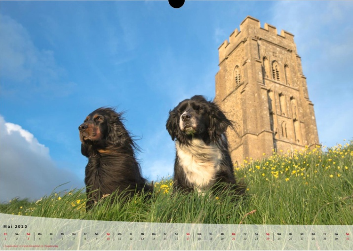 Moeffikalender 2020 Seite 06 Large