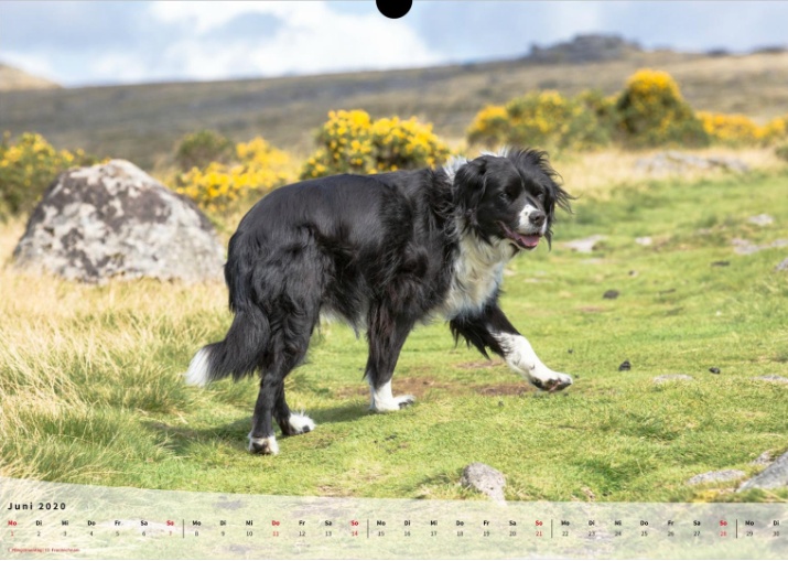 Moeffikalender 2020 Seite 07 Large