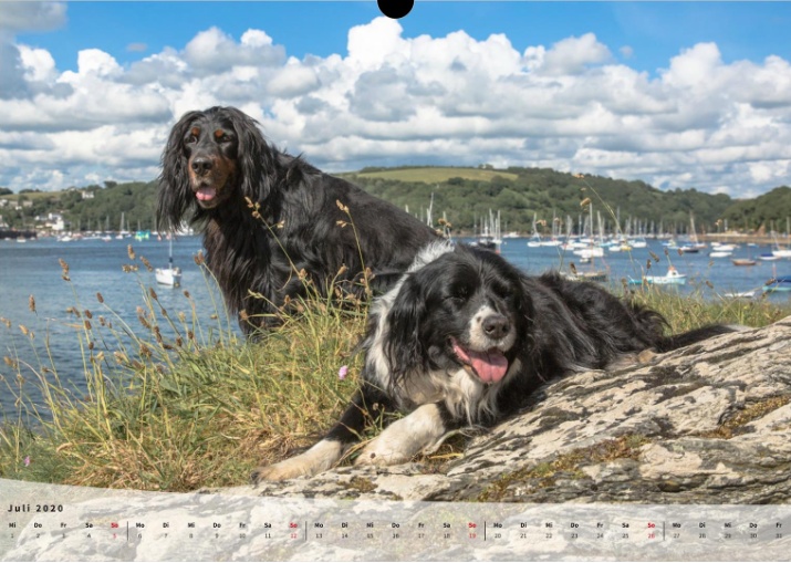 Moeffikalender 2020 Seite 08 Large