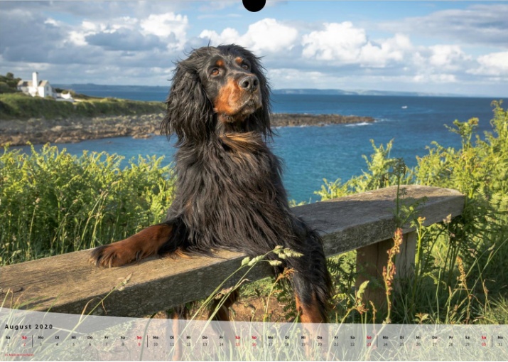 Moeffikalender 2020 Seite 09 Large