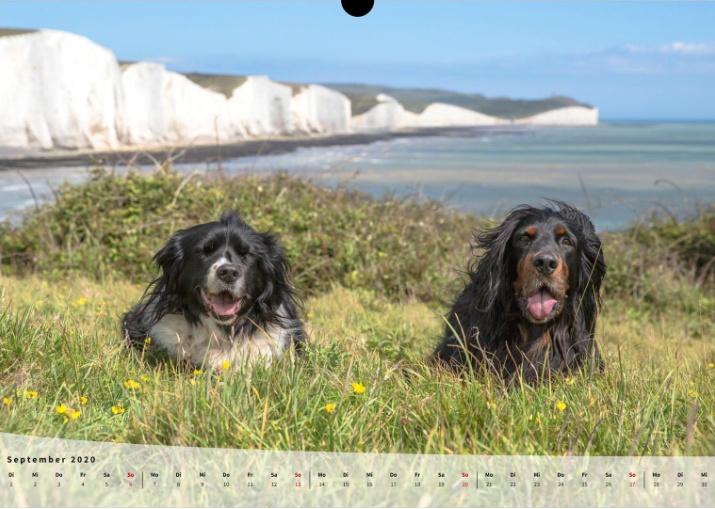 Moeffikalender 2020 Seite 10 Large
