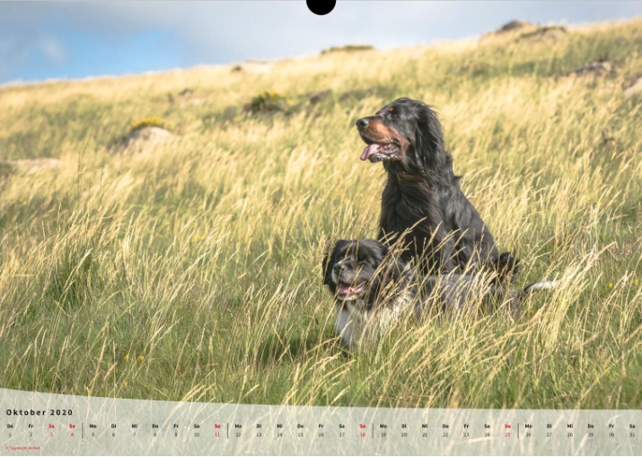 Moeffikalender 2020 Seite 11 Large