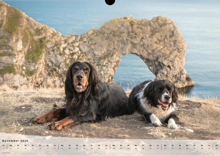 Moeffikalender 2020 Seite 12 Large