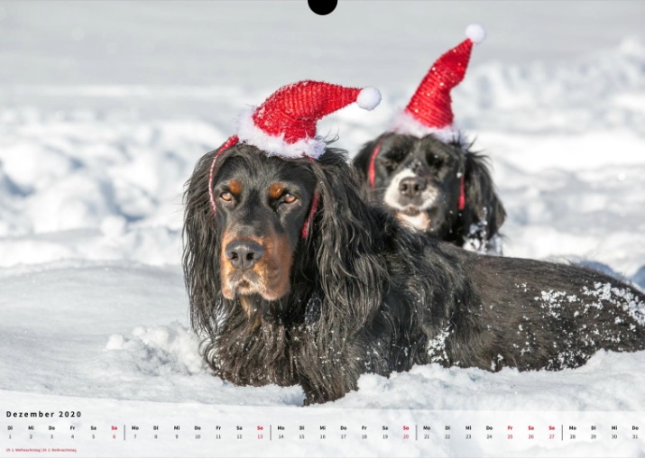 Moeffikalender 2020 Seite 13 Large