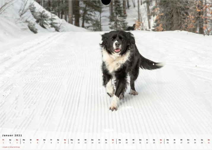 Moeffikalender 2021 Seite 02 Large