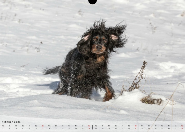Moeffikalender 2021 Seite 03 Large