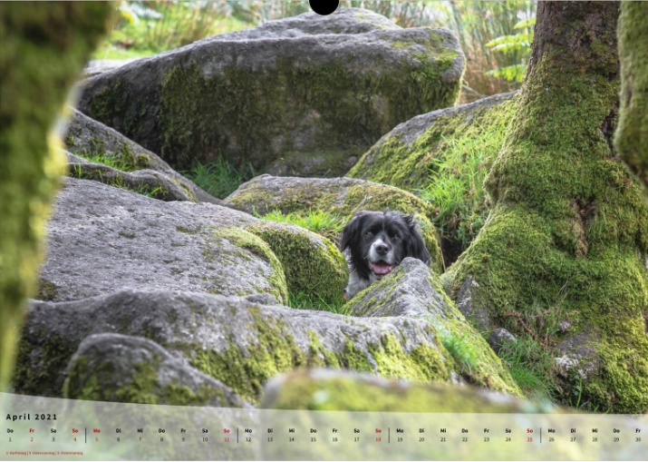 Moeffikalender 2021 Seite 05 Large
