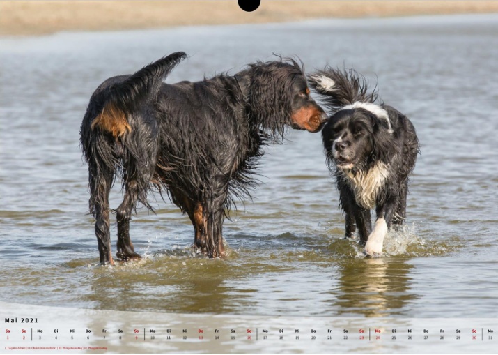 Moeffikalender 2021 Seite 06 Large