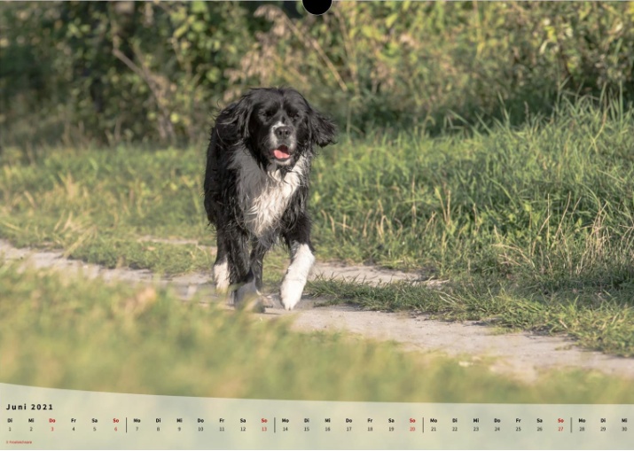 Moeffikalender 2021 Seite 07 Large