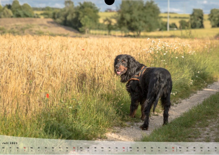 Moeffikalender 2021 Seite 08 Large