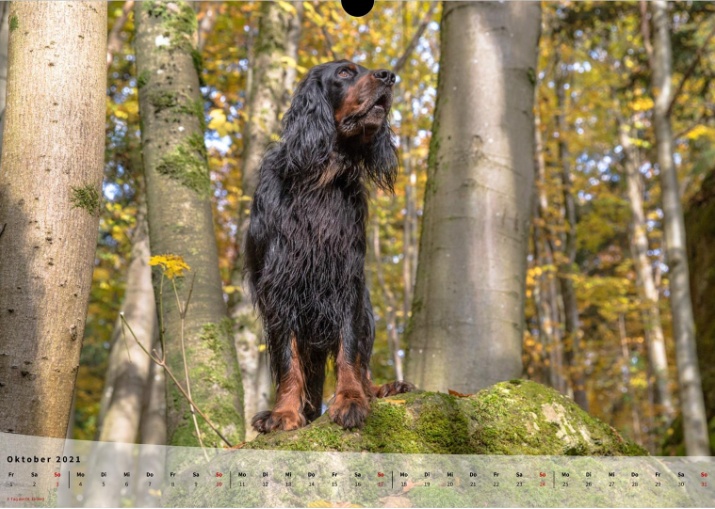 Moeffikalender 2021 Seite 11 Large