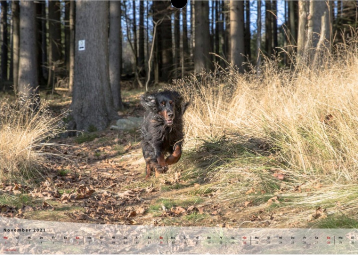 Moeffikalender 2021 Seite 12 Large