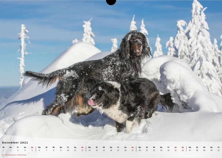 Moeffikalender 2021 Seite 13 Large