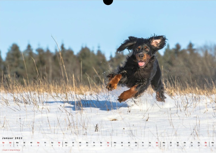 Moeffikalender 2022 Seite 02 Large