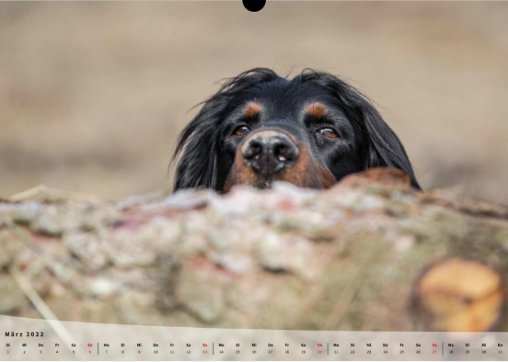 Moeffikalender 2022 Seite 04 Large