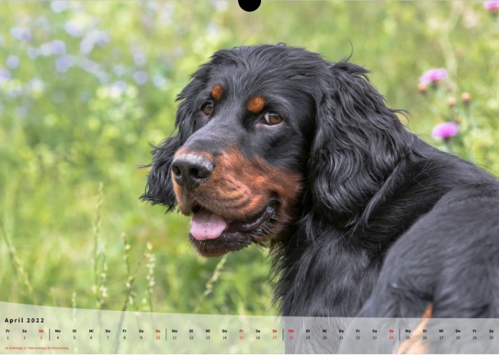 Moeffikalender 2022 Seite 05 Large