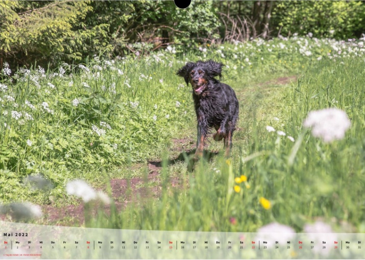 Moeffikalender 2022 Seite 06 Large