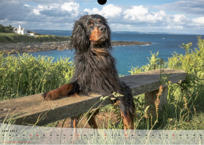 Moeffikalender 2022 Seite 07 Large