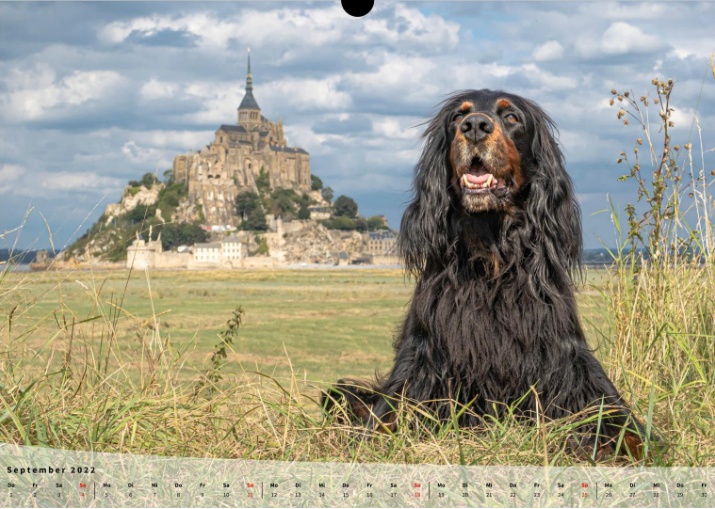 Moeffikalender 2022 Seite 10 Large
