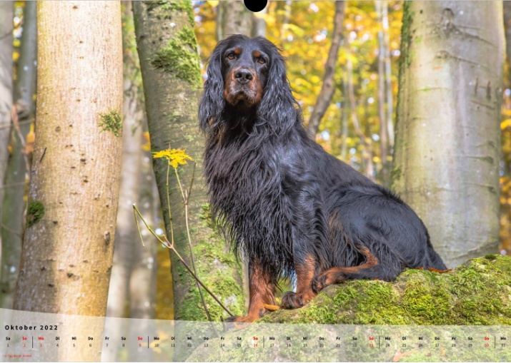 Moeffikalender 2022 Seite 11 Large