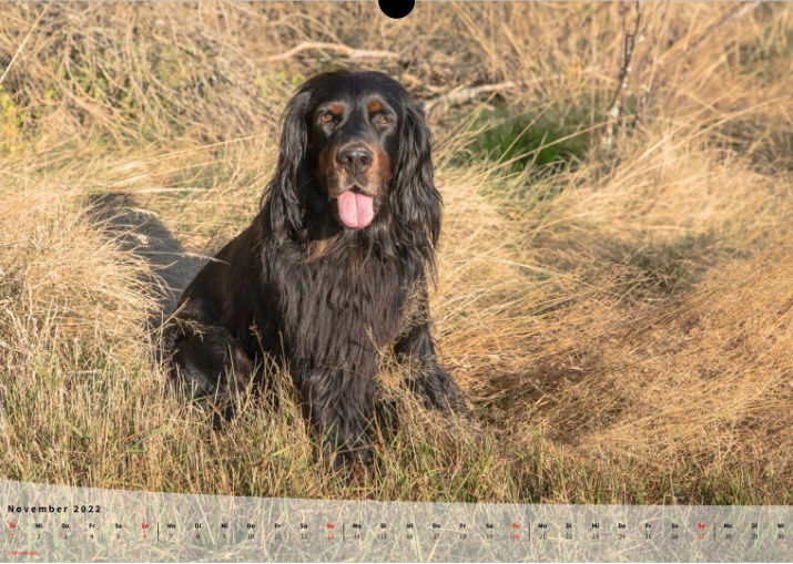 Moeffikalender 2022 Seite 12 Large