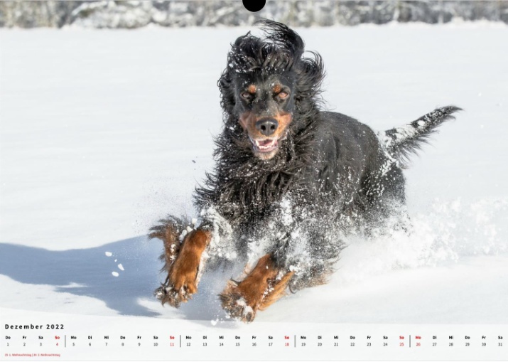 Moeffikalender 2022 Seite 13 Large
